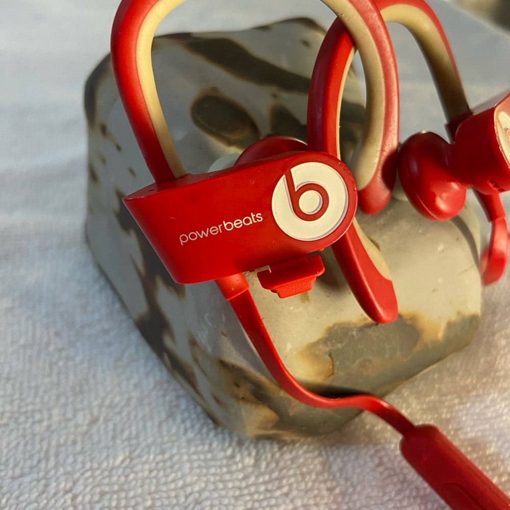 Earphones